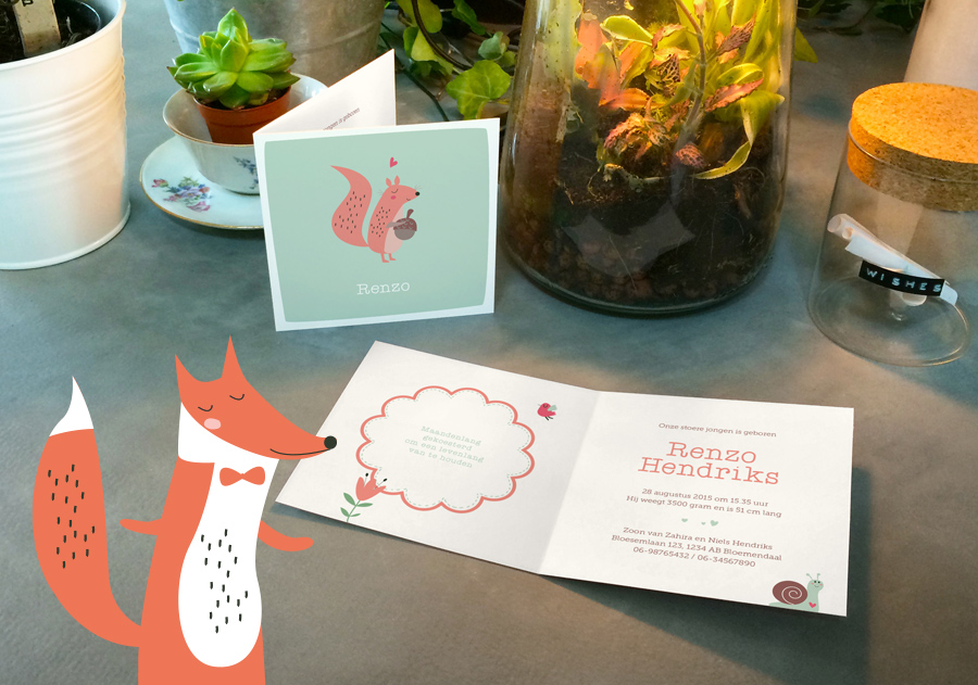 Geboortekaartjes
