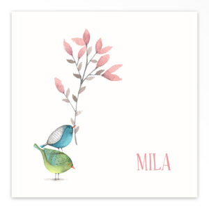 Gevouwen geboortekaartje