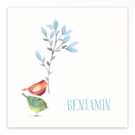 Gevouwen geboortekaartje