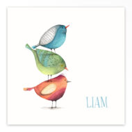 Gevouwen geboortekaartje