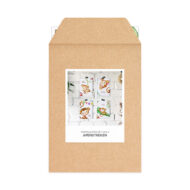 Kaartenset Studio Draak