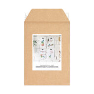 Kaartenset Studio Draak