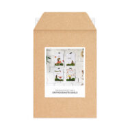 Kaartenset Studio Draak