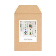 Kaartenset Studio Draak