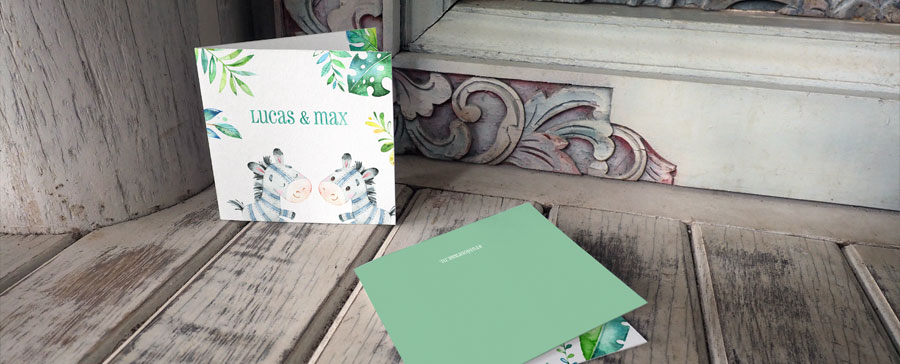 Geboortekaartjes tweeling