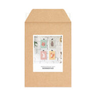 Kaartenset Studio Draak