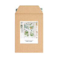 Kaartenset Studio Draak