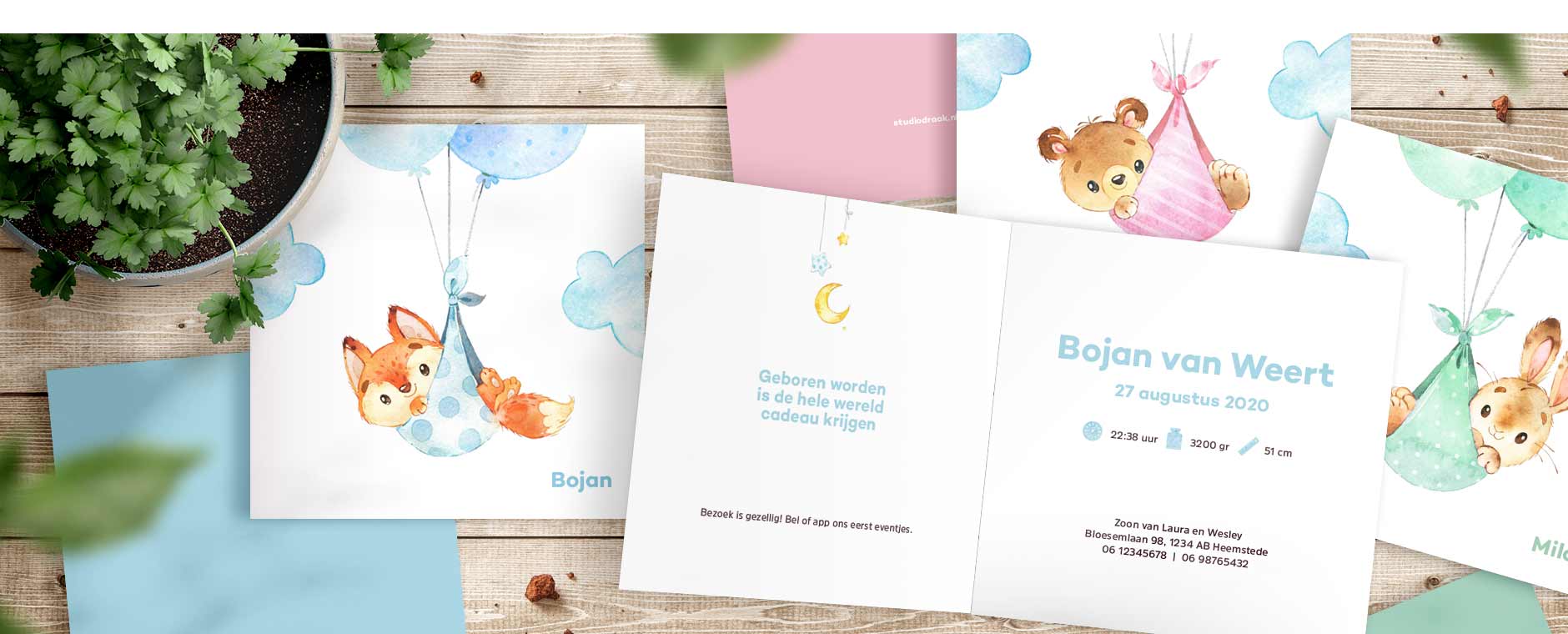 Geboortekaartjes