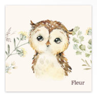 Studio Draak geboortekaartje