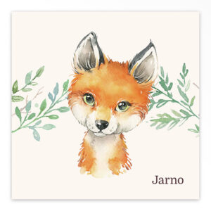 Studio Draak geboortekaartje