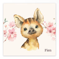 Studio Draak geboortekaartje