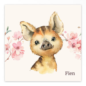 Studio Draak geboortekaartje