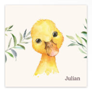 Studio Draak geboortekaartje