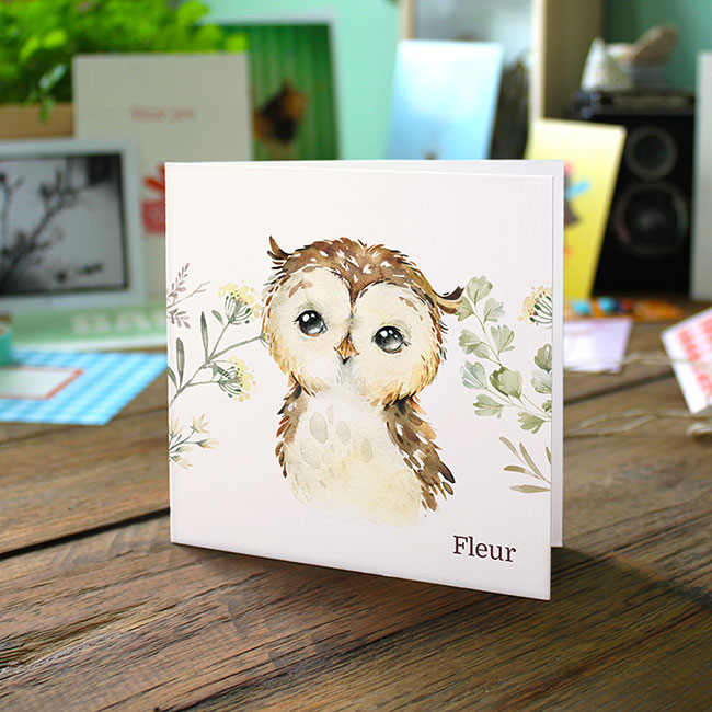 Studio Draak geboortekaartje