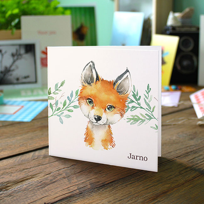 Studio Draak geboortekaartje