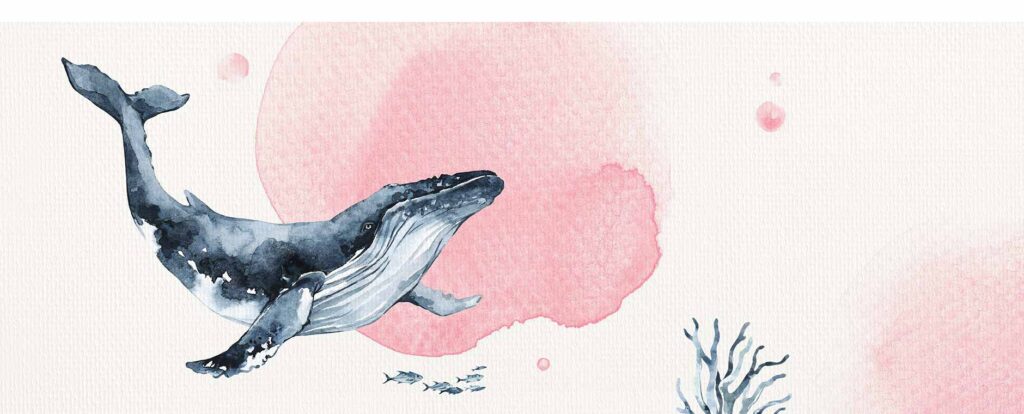 Studio Draak collectie kaarten