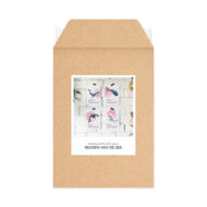 Studio Draak kaarten