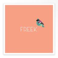 Gevouwen geboortekaartjes 'Bonte kwibus'