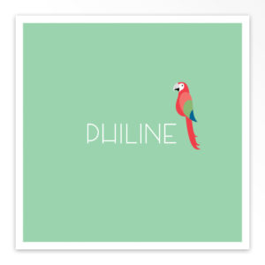 Gevouwen geboortekaartjes 'Bonte kwibus'