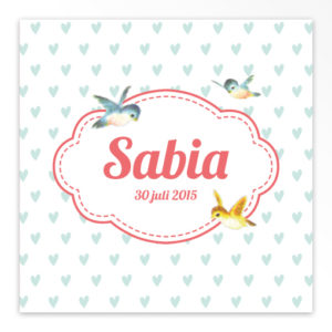 Gevouwen geboortekaartjes 'Flierefluiters'