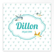 Gevouwen geboortekaartjes 'Flierefluiters'