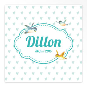 Gevouwen geboortekaartjes 'Flierefluiters'