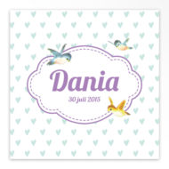 Gevouwen geboortekaartjes 'Flierefluiters'