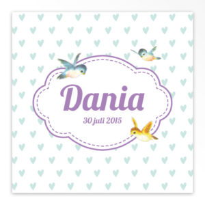 Gevouwen geboortekaartjes 'Flierefluiters'