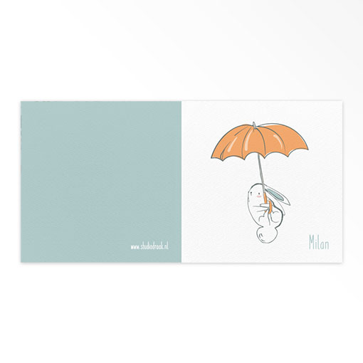 Geboortekaartjes gevouwen 'Gezellige chaos' - Afbeelding 3