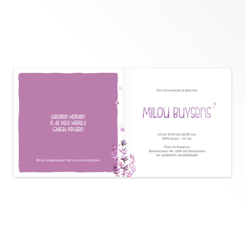 Gevouwen geboortekaartjes 'Zeevriendjes' - Afbeelding 4