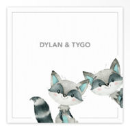 Geboortekaartjes tweeling 'Vrolijke vriendjes'