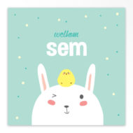 Gevouwen geboortekaartjes 'Kiekeboe'