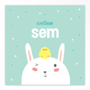 Gevouwen geboortekaartjes 'Kiekeboe'