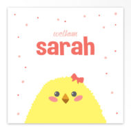 Gevouwen geboortekaartjes 'Kiekeboe'