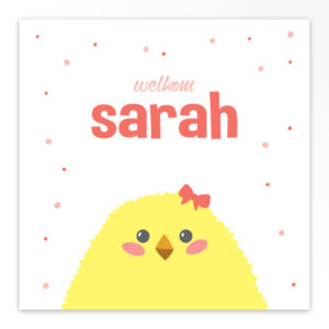 Gevouwen geboortekaartjes 'Kiekeboe'