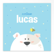 Gevouwen geboortekaartjes 'Kiekeboe'