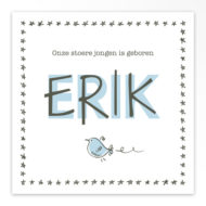 Gevouwen geboortekaartjes 'Knetter letter'