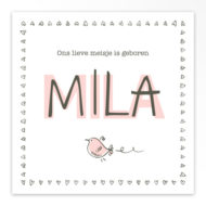 Gevouwen geboortekaartjes 'Knetter letter'