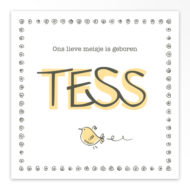 Gevouwen geboortekaartjes 'Knetter letter'