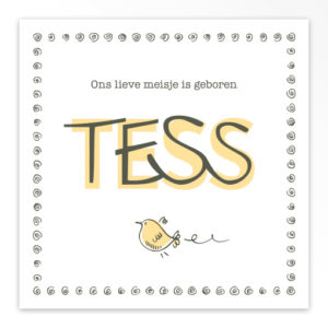 Gevouwen geboortekaartjes 'Knetter letter'