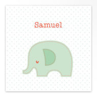 Gevouwen geboortekaartjes 'Lief diertje'