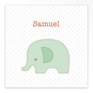 Gevouwen geboortekaartjes 'Lief diertje'