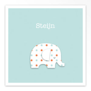 Gevouwen geboortekaartjes 'Olijk olifantje'