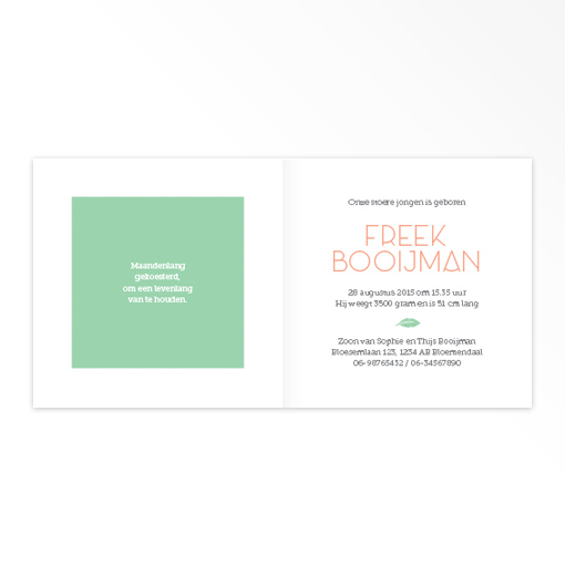 Gevouwen geboortekaartjes 'Bonte kwibus' - Afbeelding 4