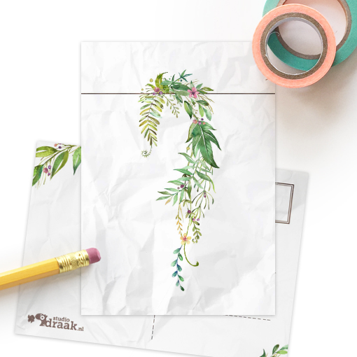 Postkaart 'Piekfijne plantjes' muurtje