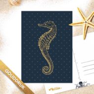 Postkaart 'Onderwaterwezens' zeepaard