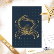Postkaart 'Onderwaterwezens' krab