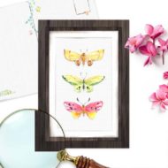 Postkaart 'Vlindervleugels' trio