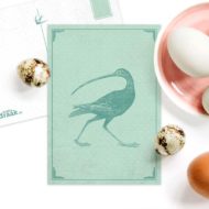 Postkaart 'Vreemde vogels' groen