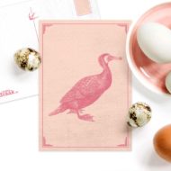 Postkaart 'Vreemde vogels' roze